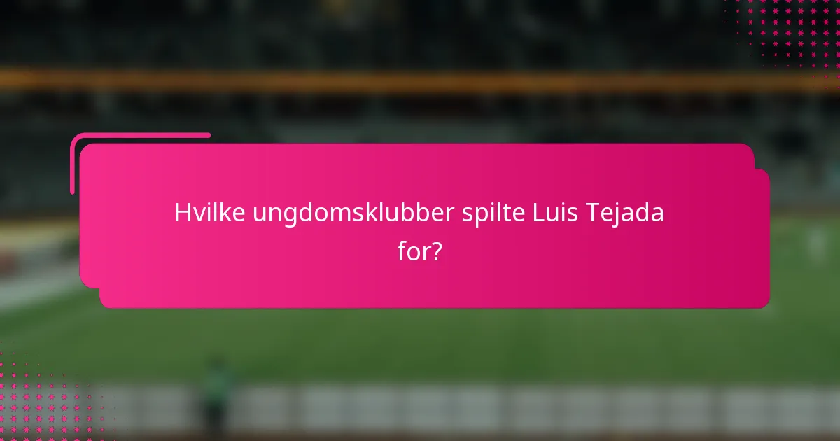 Hvilke ungdomsklubber spilte Luis Tejada for?